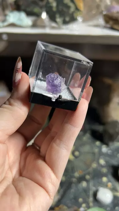 plant/Ojuela fluorite-0-thumbnail