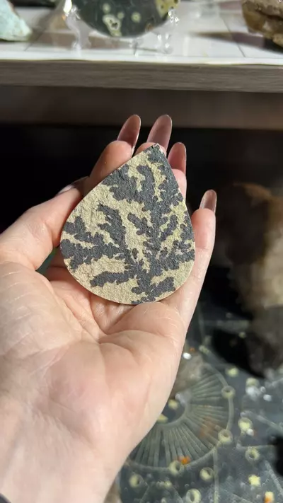 plant/Dendric sandstone w pyrite-0-thumbnail