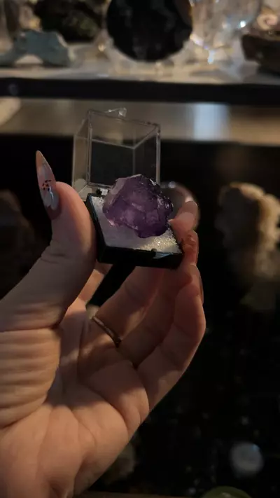 plant/Ojuela fluorite-0-thumbnail