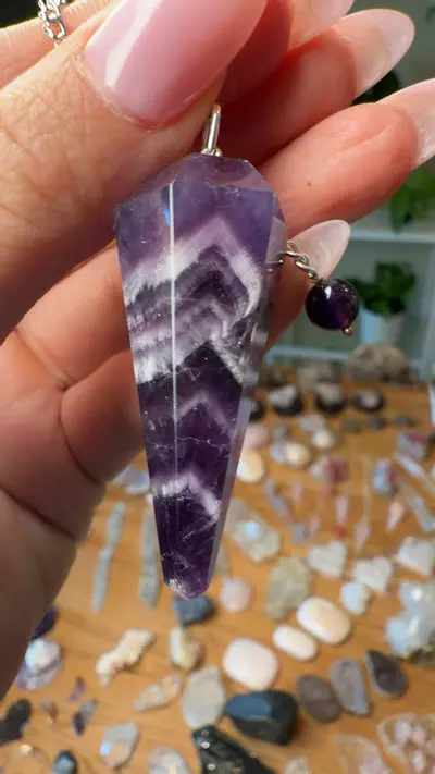plant/Chevron amethyst-0-thumbnail