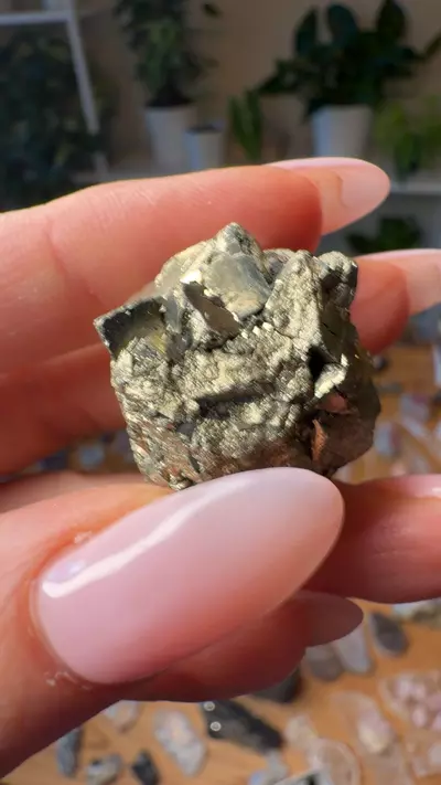 plant/pyrite ball turkey-0-thumbnail