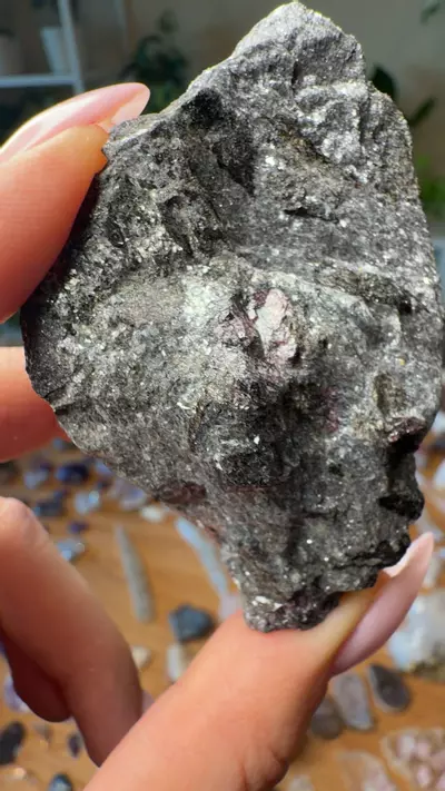 plant/garnet in shist 28-0-thumbnail