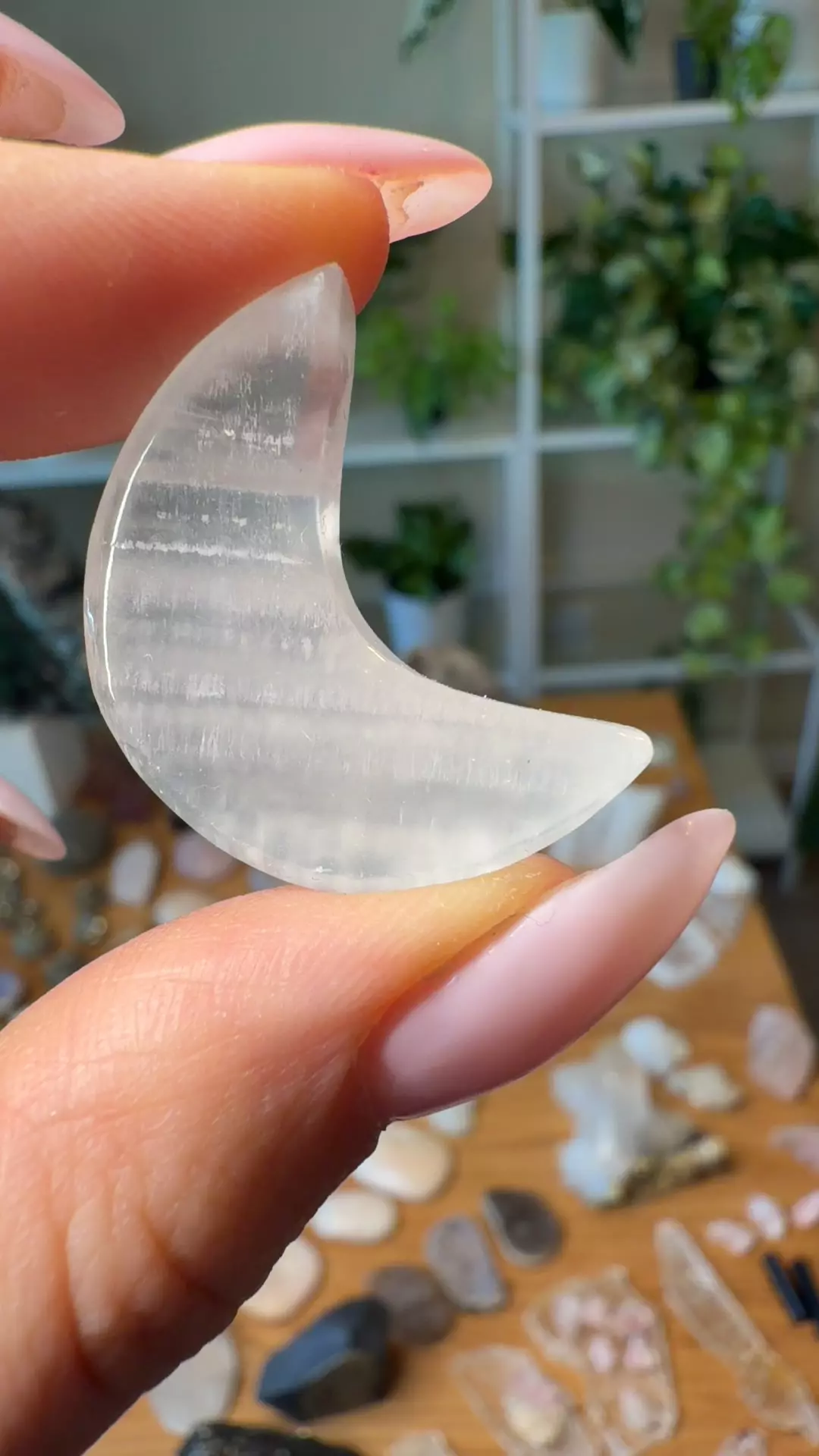 plant/selenite moon-0