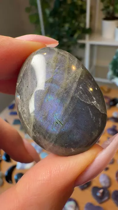 plant/labradorite-0-thumbnail