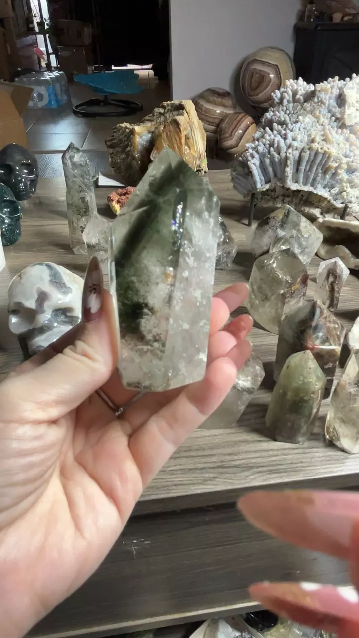 plant/phantom quartz-0