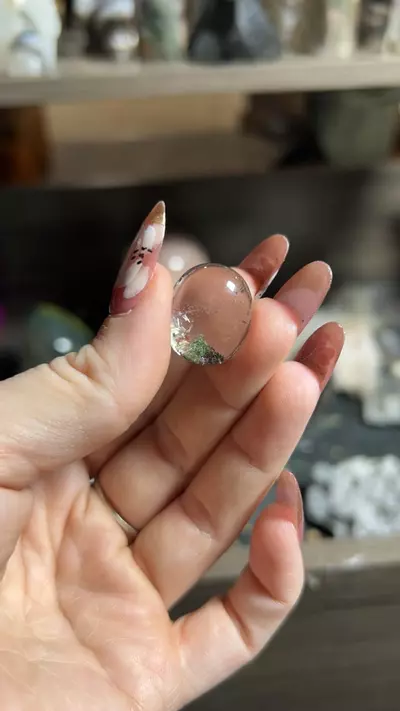 plant/GQ-0-thumbnail