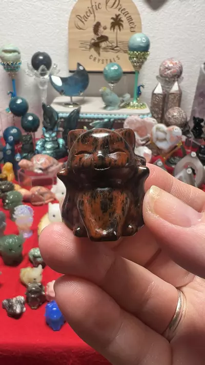 plant/$8| Mahogany Obsidian Ninetail-0-thumbnail