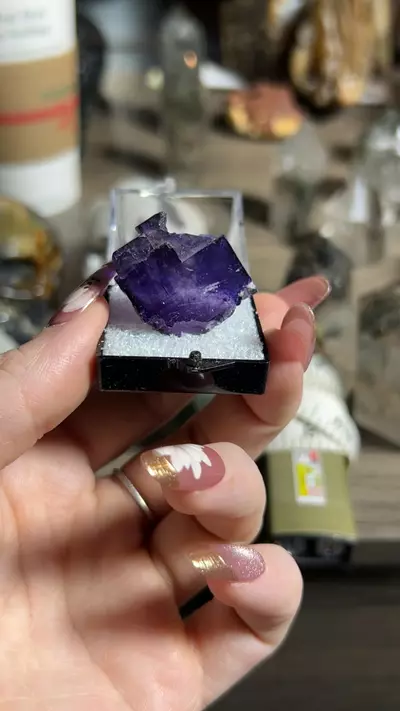 plant/Ojuela fluorite-0-thumbnail