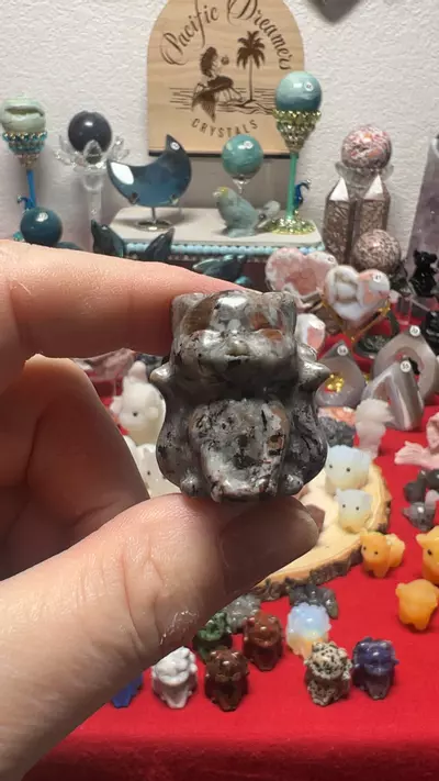 plant/$8| Yooperlite Ninetail-0-thumbnail