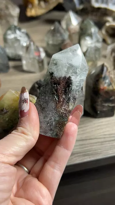 plant/GQ-0-thumbnail