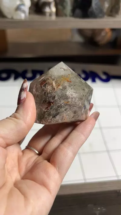 plant/GQ-0-thumbnail