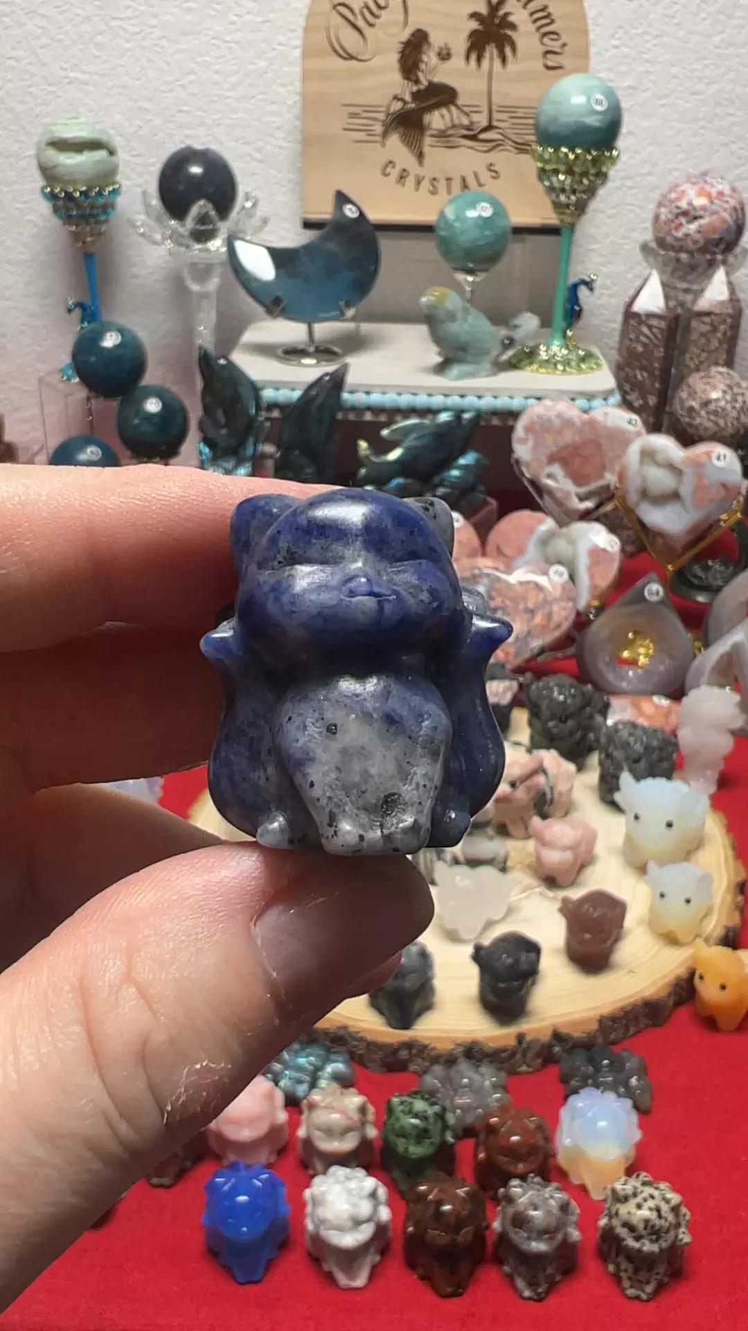plant/$8| Sodalite Ninetail-0