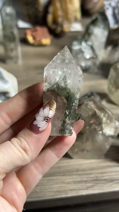 plant/GQ-0-thumbnail