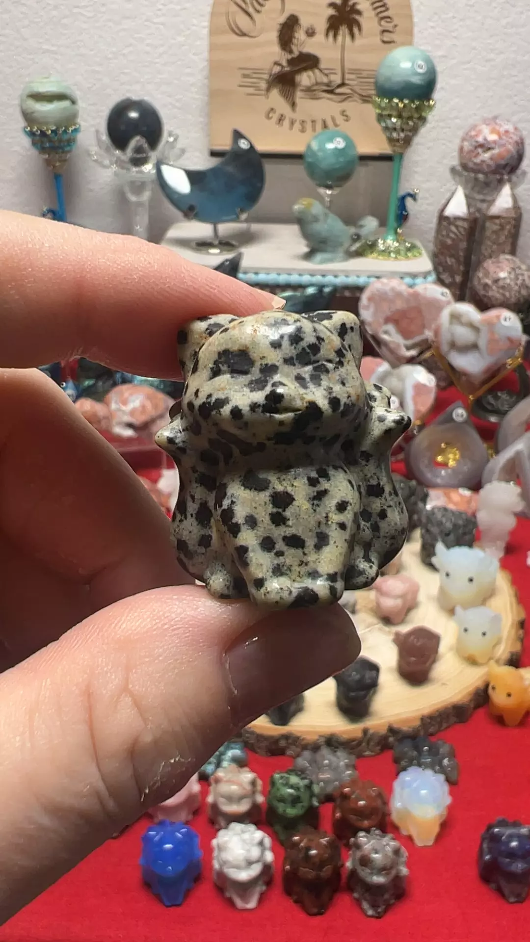 plant/$8| Dalmatian Ninetail-0