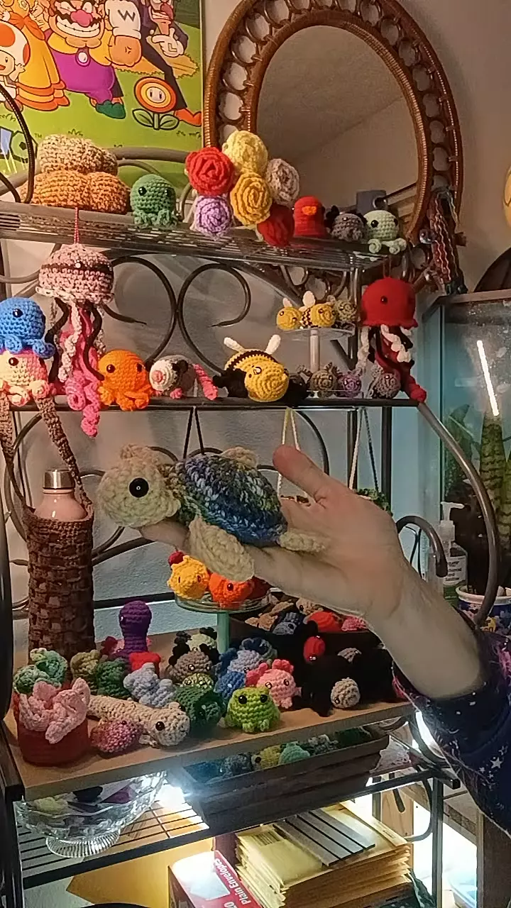 plant/blue, green and tan turtle-0