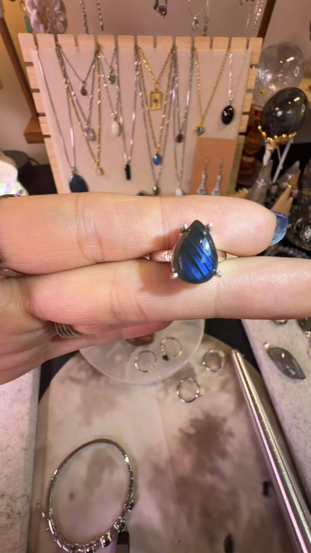 plant/sz 8 sterling lab-0