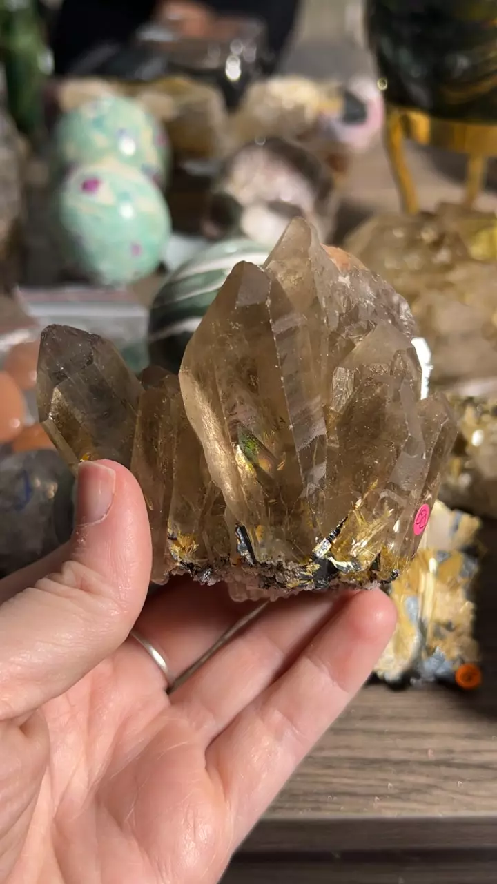 plant/rutile hematite-0