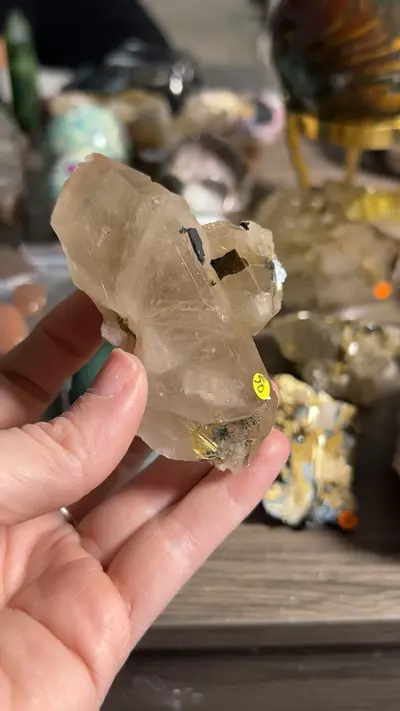 plant/hematite quartz rutile-0-thumbnail