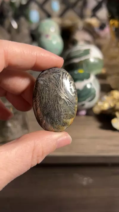 plant/Feather Pyrite from Canada-0-thumbnail