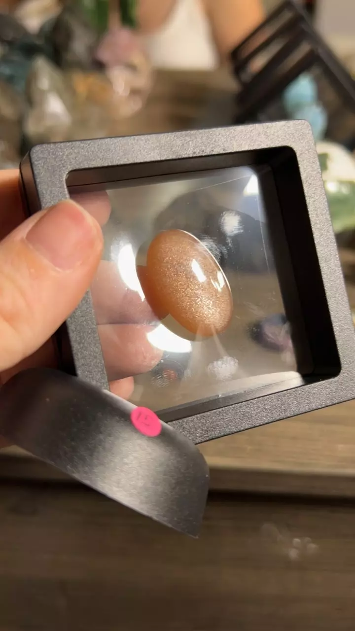 plant/Sunstone Moonstone-0