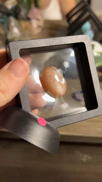 plant/Sunstone Moonstone-0-thumbnail