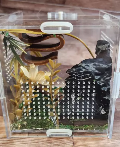 plant/4x4 natural-3-thumbnail