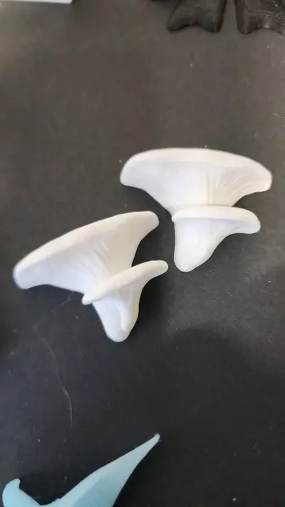 plant/Mushroom ledges x2-0-thumbnail