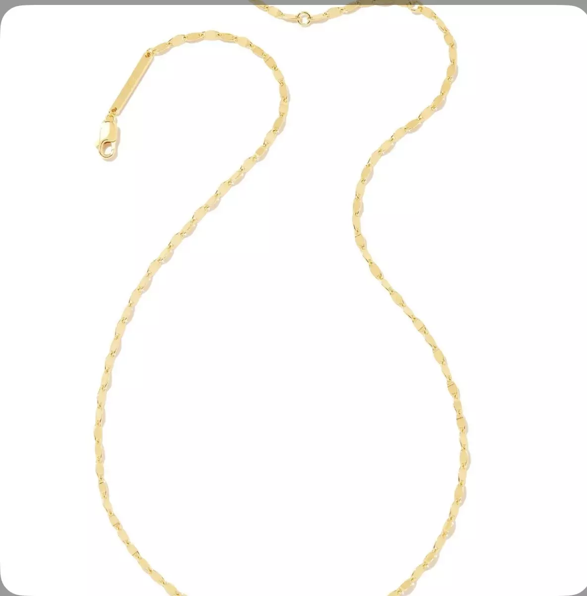 plant/Kendra Scott 18k Gold Vermeil twisted link chain neck-0