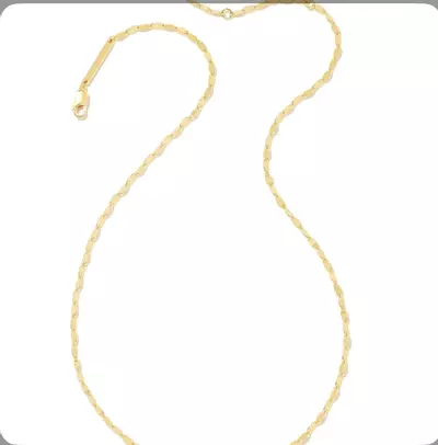 plant/Kendra Scott 18k Gold Vermeil twisted link chain neck-0-thumbnail