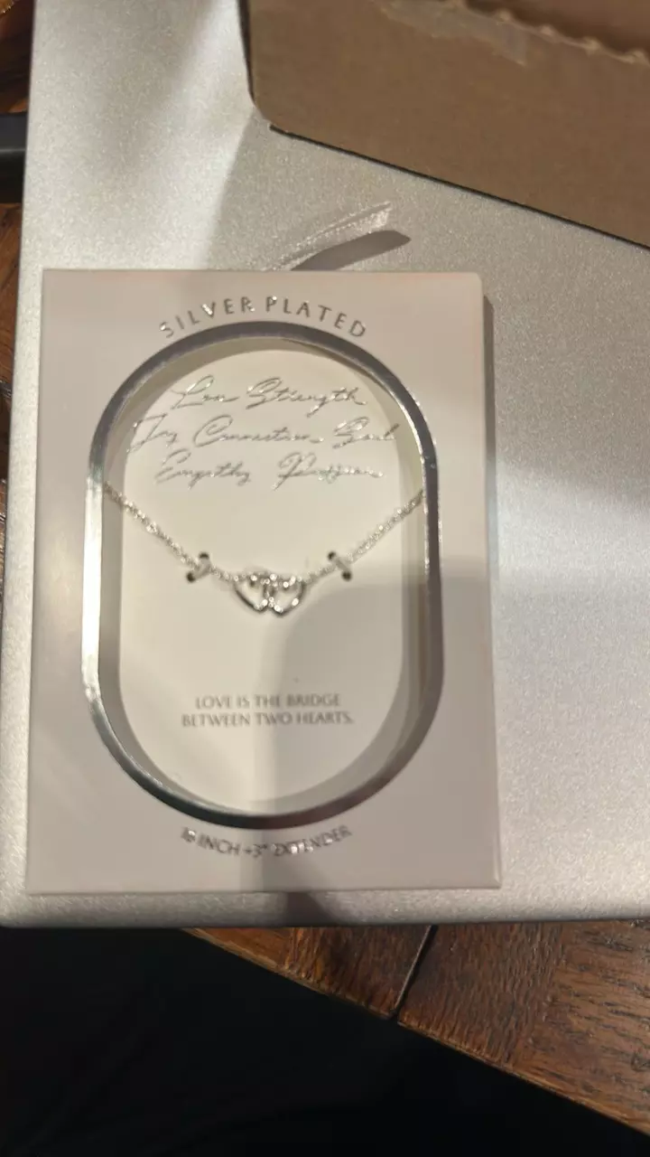 plant/Silver plated double heart necklace-0