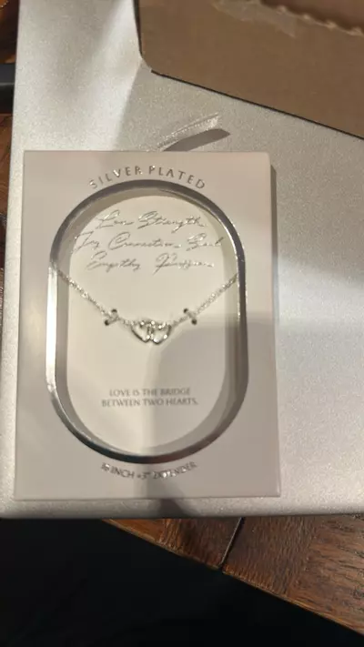 plant/Silver plated double heart necklace-0-thumbnail