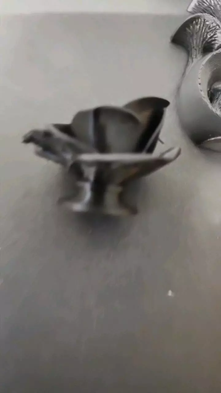 plant/Raised rose hide/dish-1