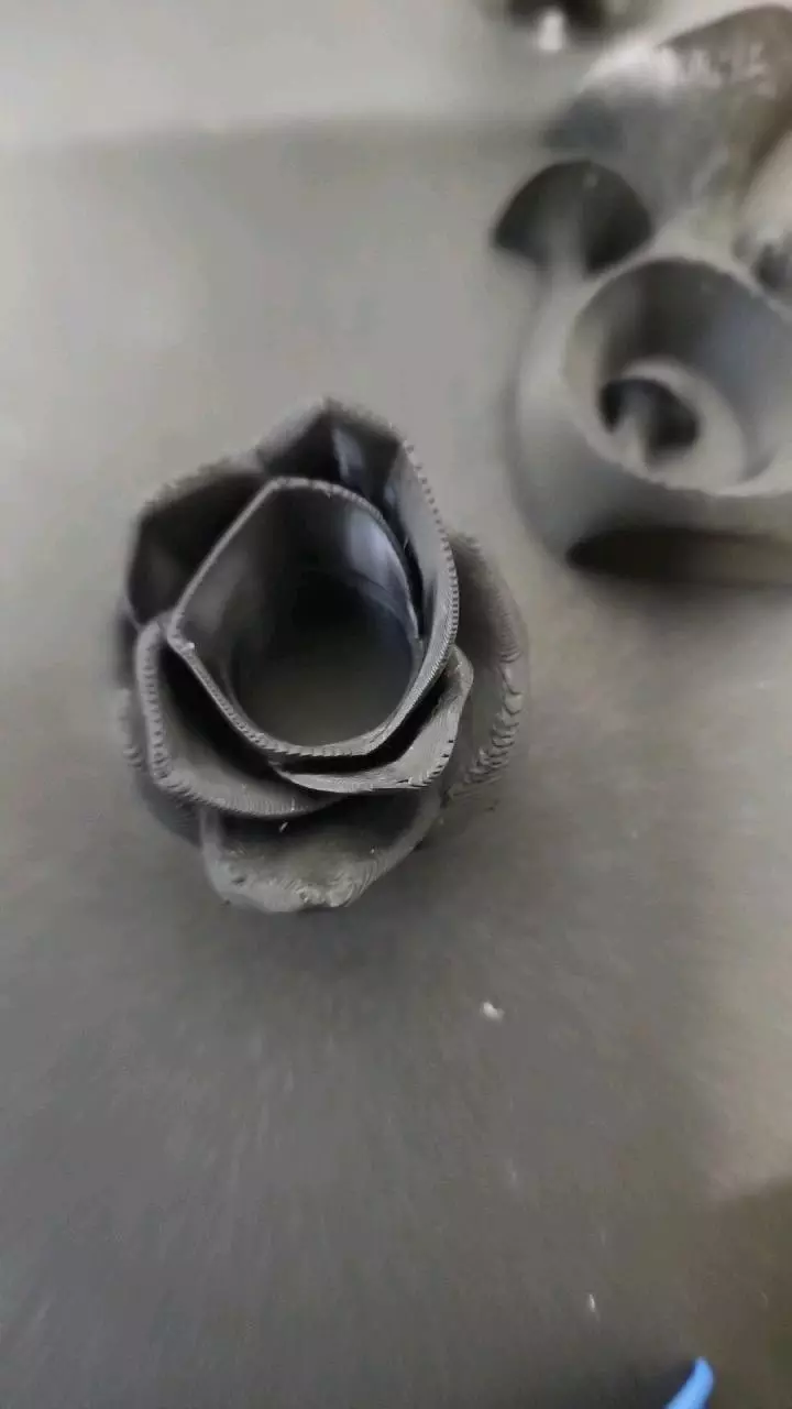 plant/Raised rose hide/dish-0