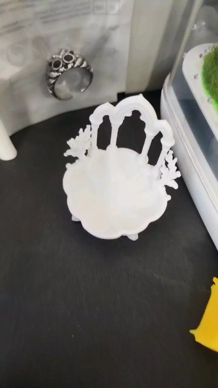 plant/Reflecting pool-0