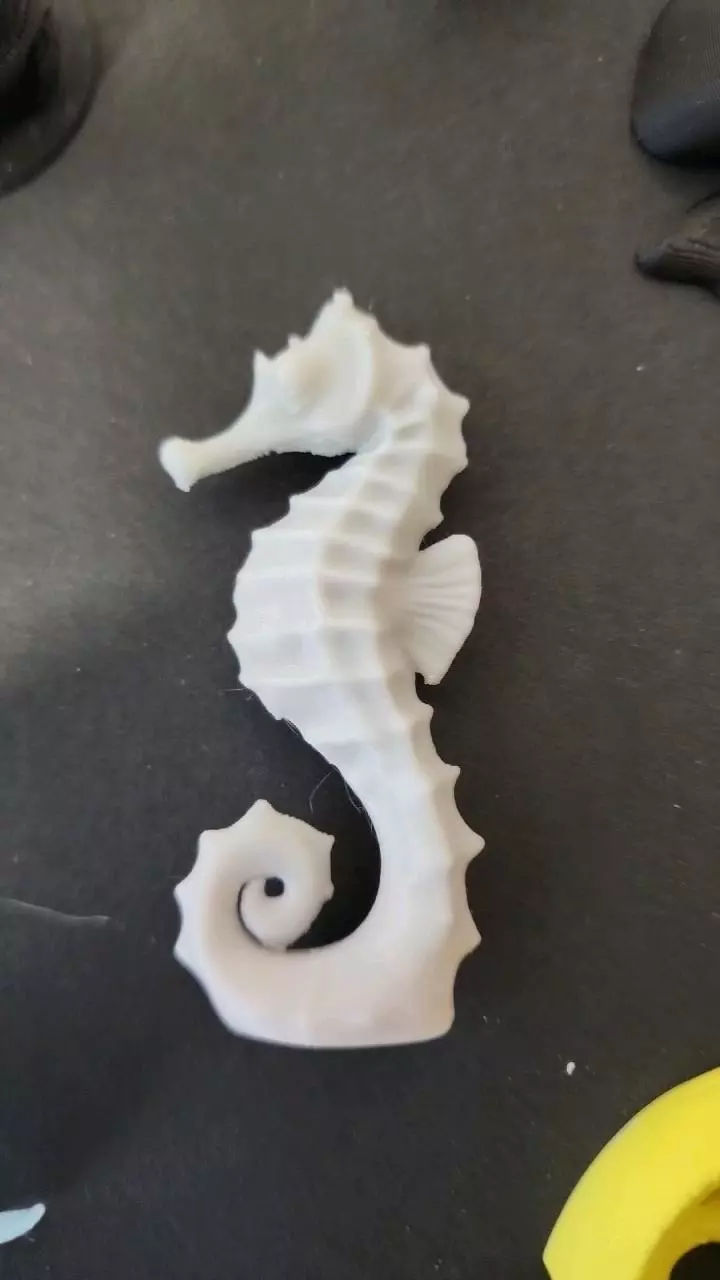 plant/Glow seahorse-0