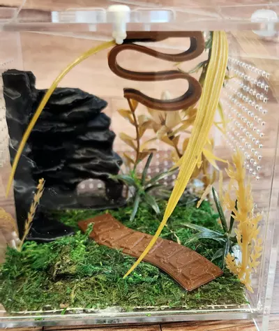 plant/4x4 natural-0-thumbnail