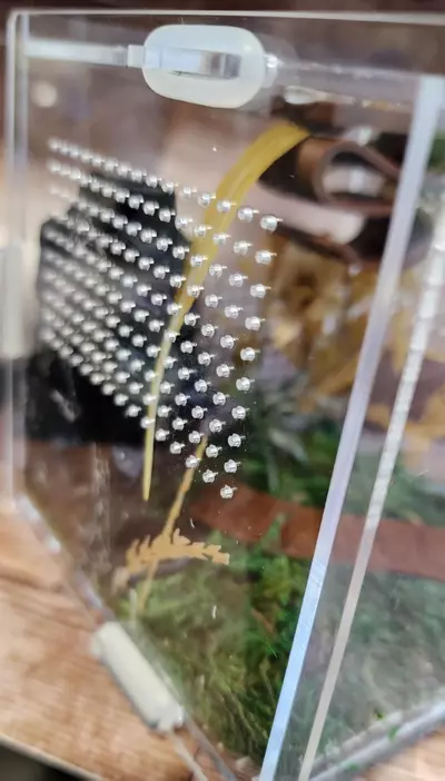 plant/4x4 natural-4-thumbnail