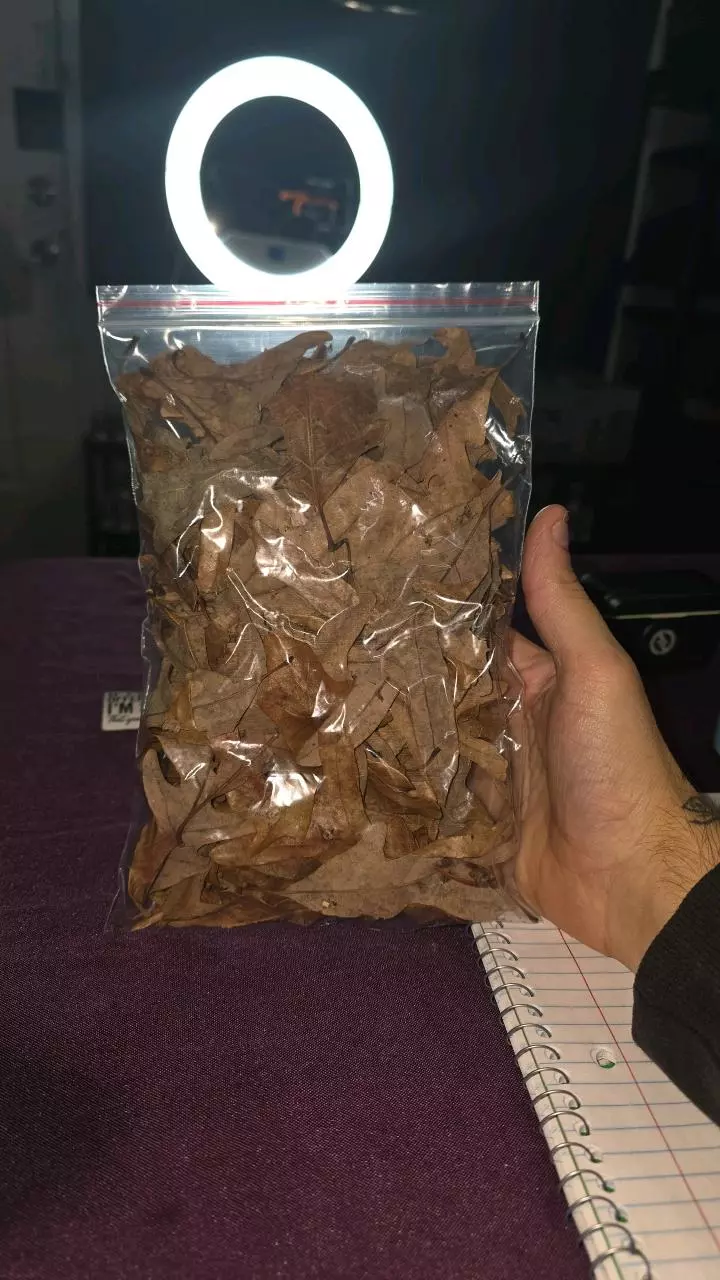 plant/leaf litter 6"x9" bag-0