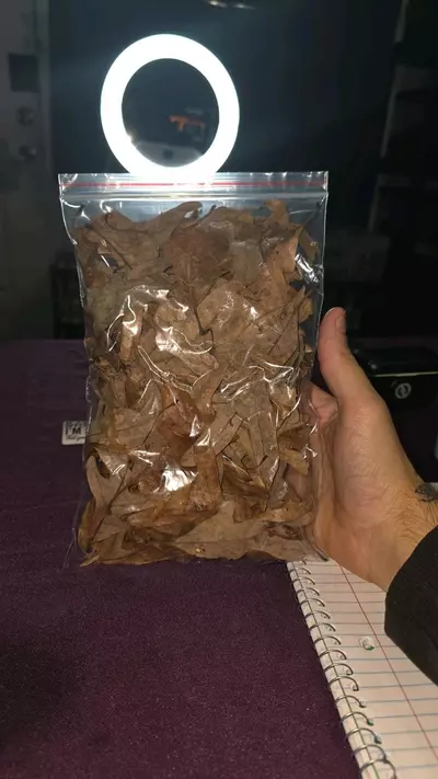 plant/leaf litter 6"x9" bag-0-thumbnail