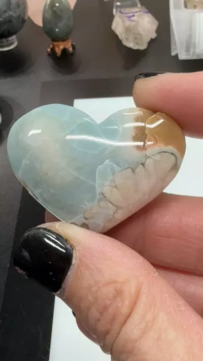 plant/green flower-0-thumbnail