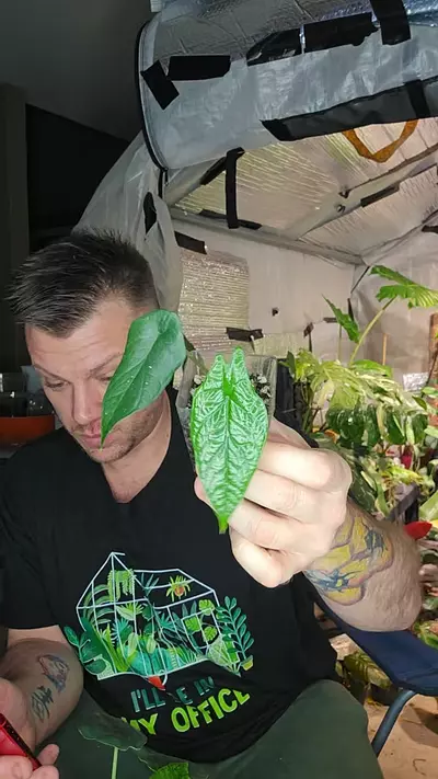 plant/scalprum alo-0-thumbnail