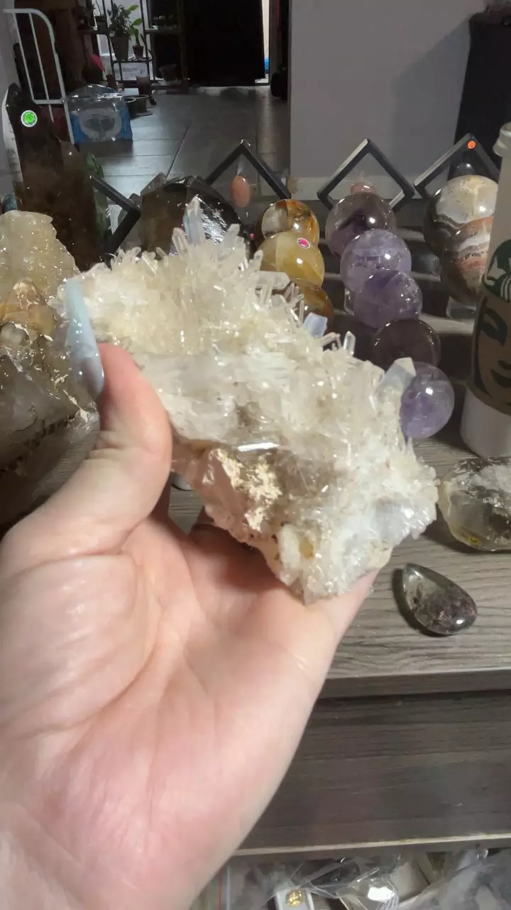 plant/Colombian needle quartz-0