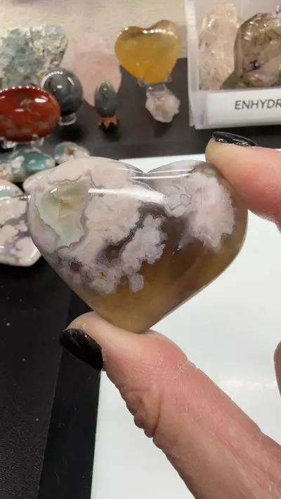 plant/black flower-0-thumbnail