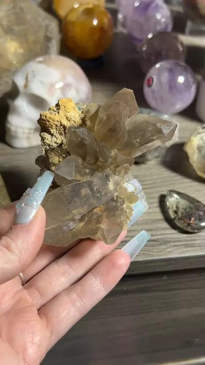 plant/Rutilated quartz-0-thumbnail