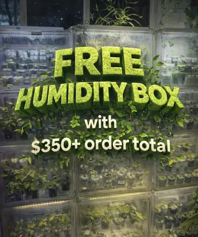 plant/FREE HUMIDITY BOX WITH $350+ ORDER-0-thumbnail