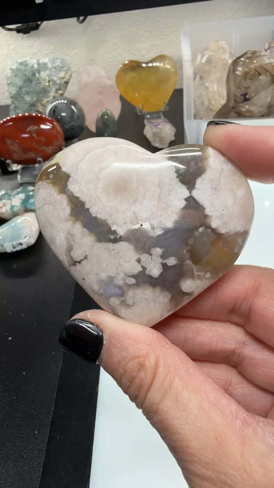 plant/black flower-0