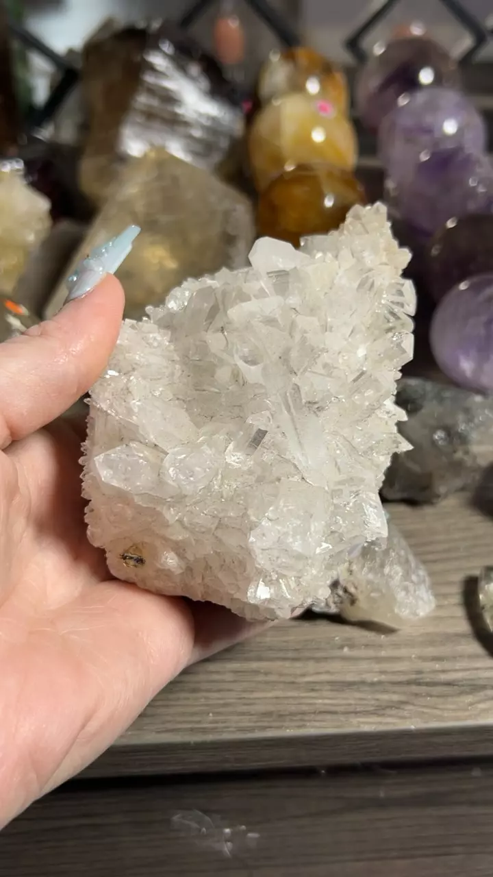 plant/Colombian quartz-0