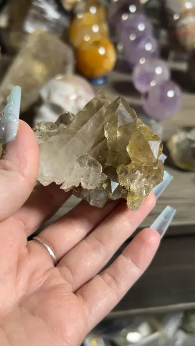 plant/exposed rutile-0-thumbnail