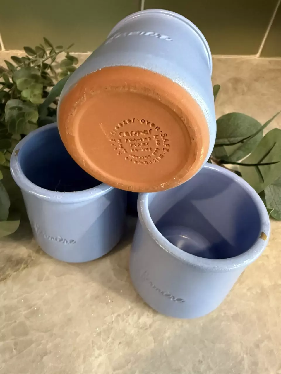 plant/La Fermière periwinkle blue terra cotta yogurt pots-1
