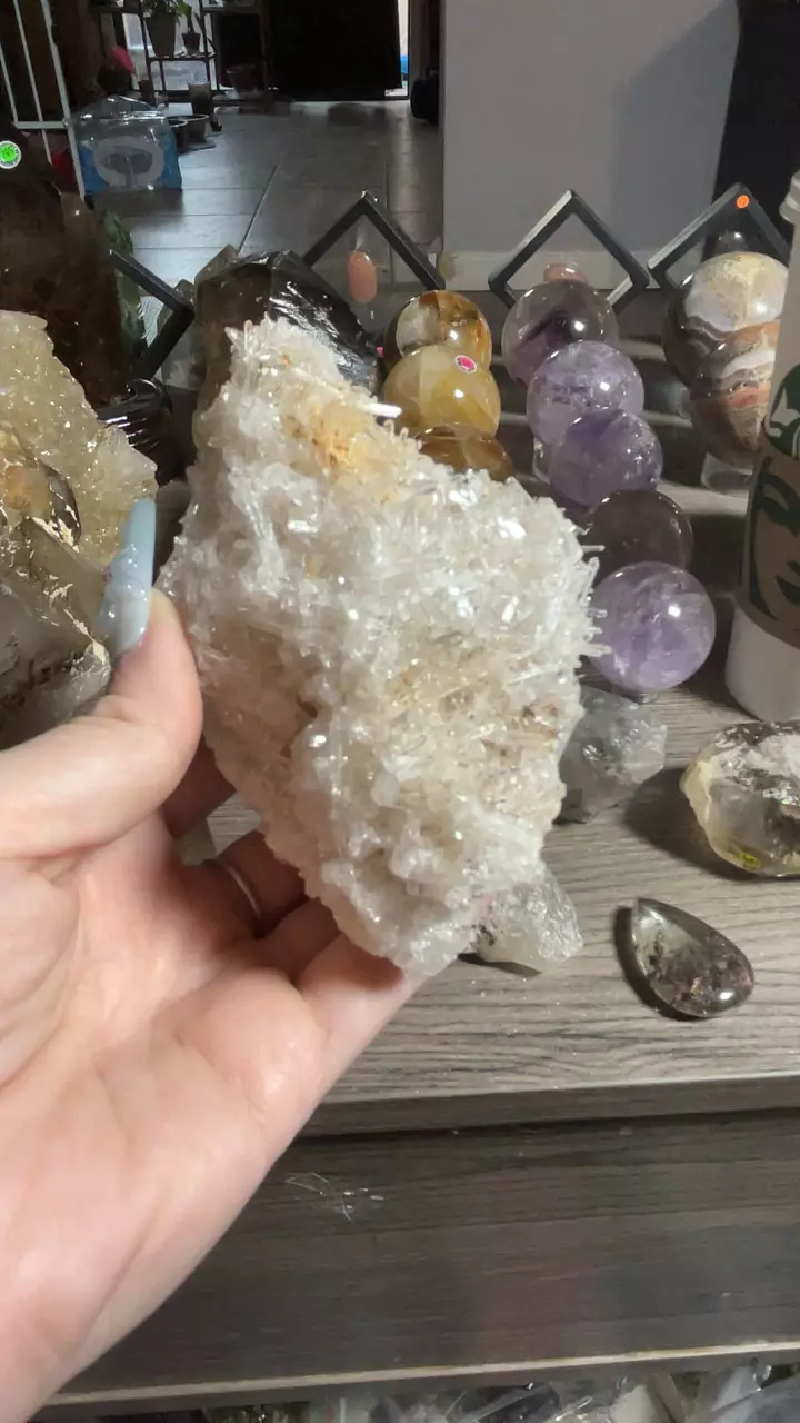 plant/Colombian needle quartz-0